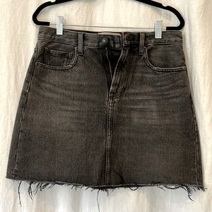 Everlane Denim Skirt